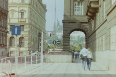 PICT202176