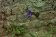 PICT202012