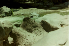 PICT202065