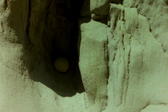 PICT202068