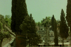 PICT202069