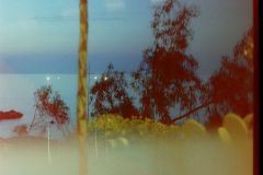PICT202109