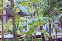 PICT202257