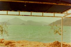 PICT202096