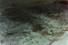 PICT202097