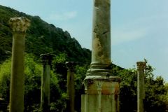 PICT202130