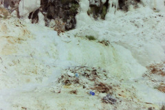PICT202229