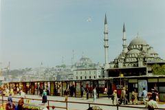 PICT202237