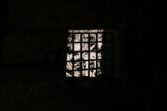 IMG_6173